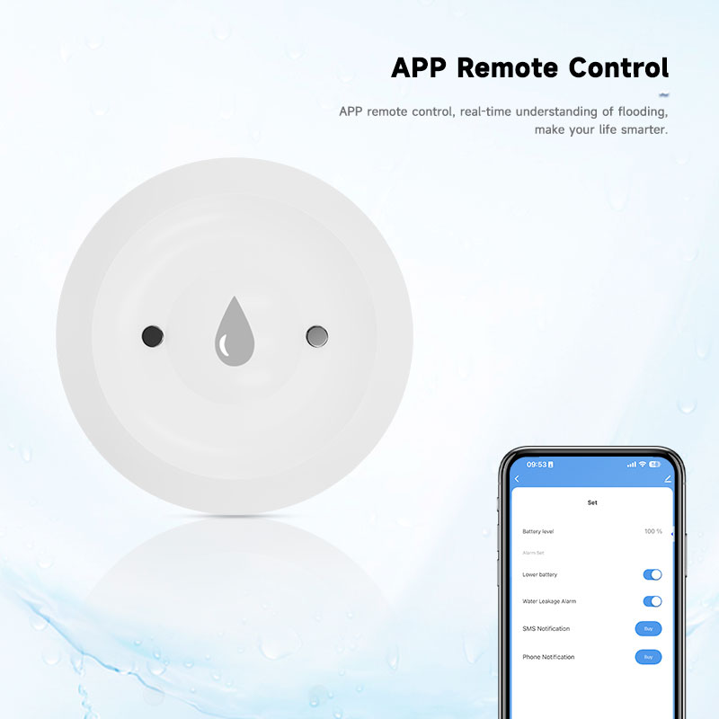 Tuya Zigbee2mqtt Water Immersi - Water Alarm Sensor ulasan dan harga